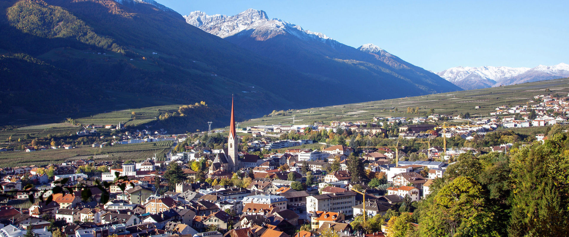 Schlanders im Vinschgau Blick auf Schlanders mit Häusern, Kirchturm, Bäumen und Bergen im Hintergrund.