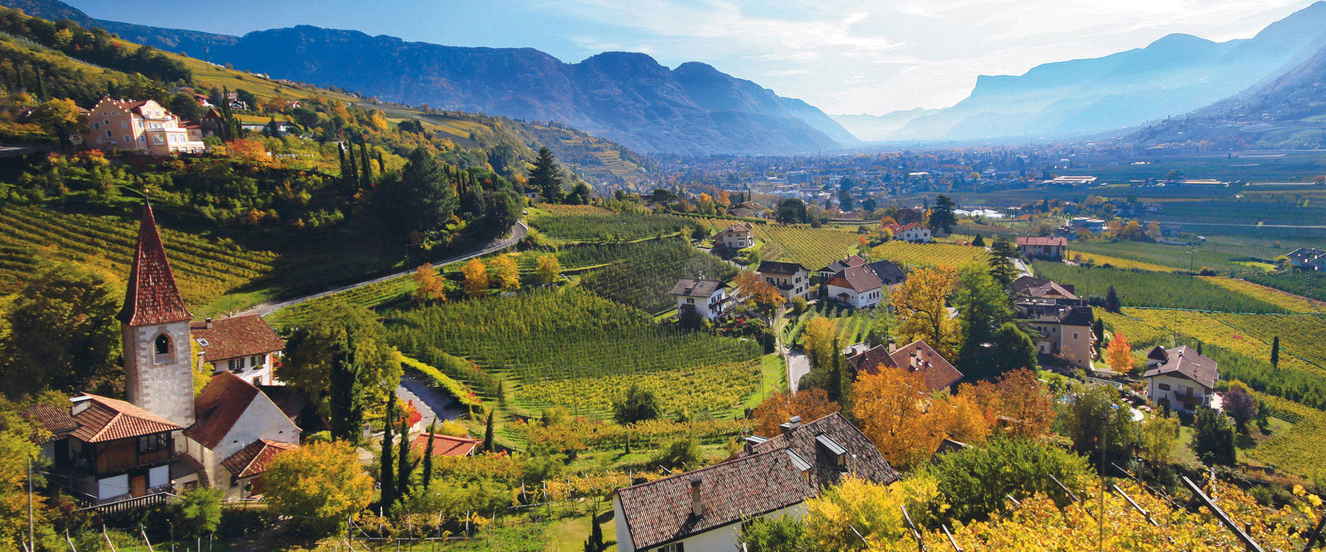 Algund Blick auf die goldgefärbten Weinberge in Algund im Herbst