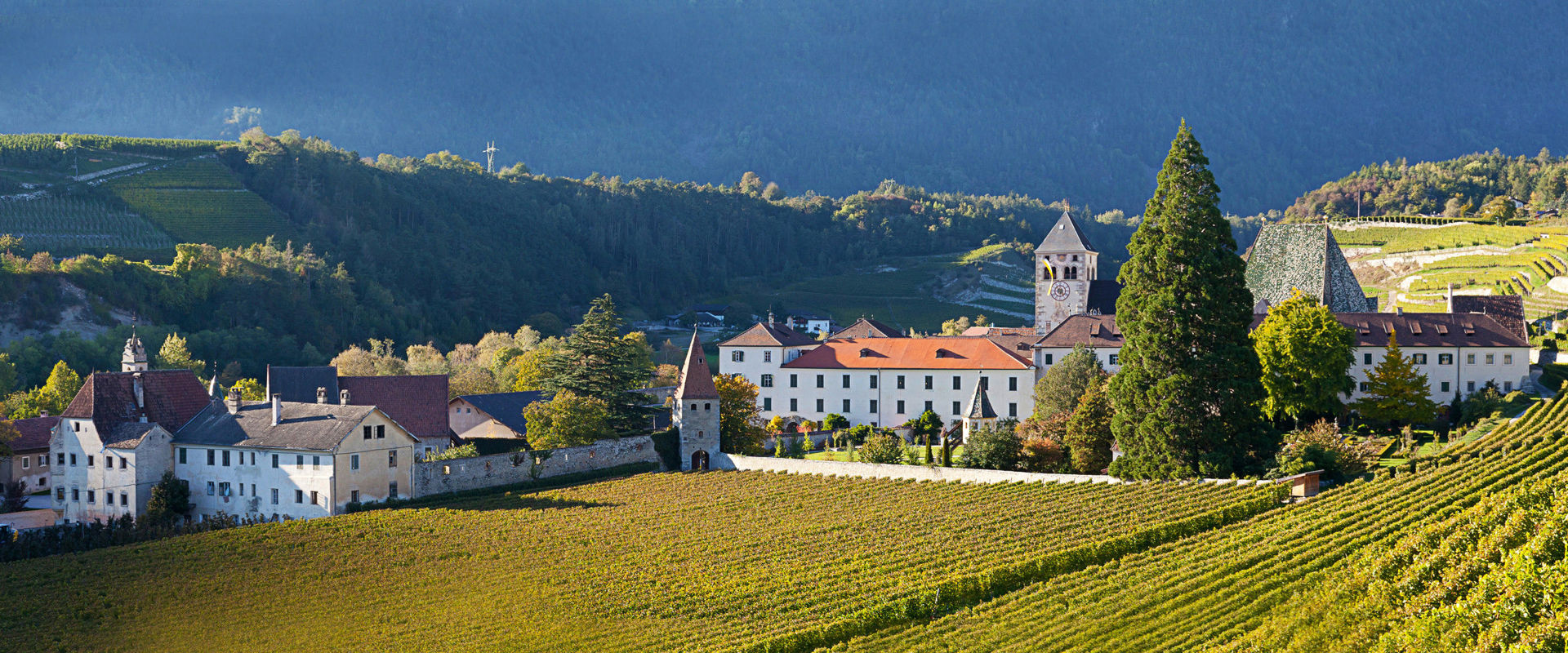 Kloster Neustift Blick auf Kloster Neustift umgeben von goldenen Weinbergen.