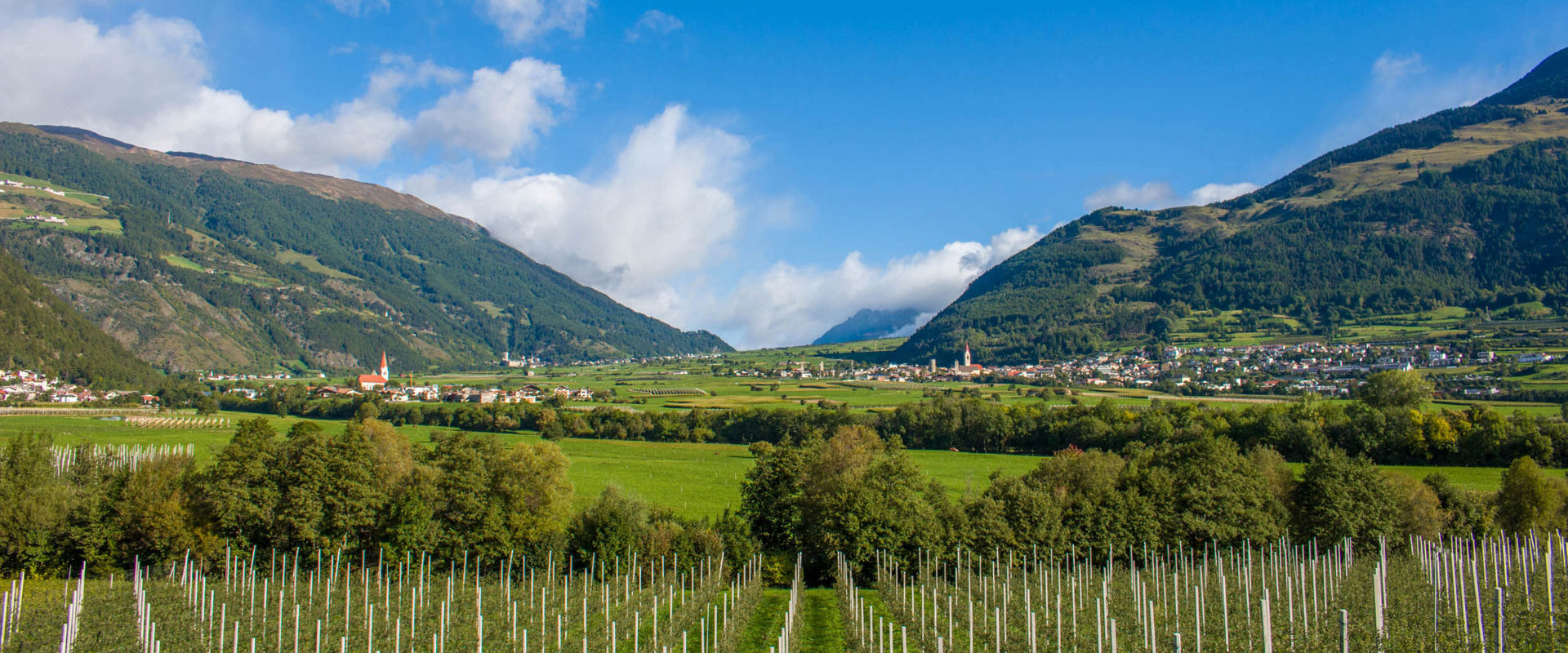 Mals Blick über Wiesen und Felder Richtung Mals.
