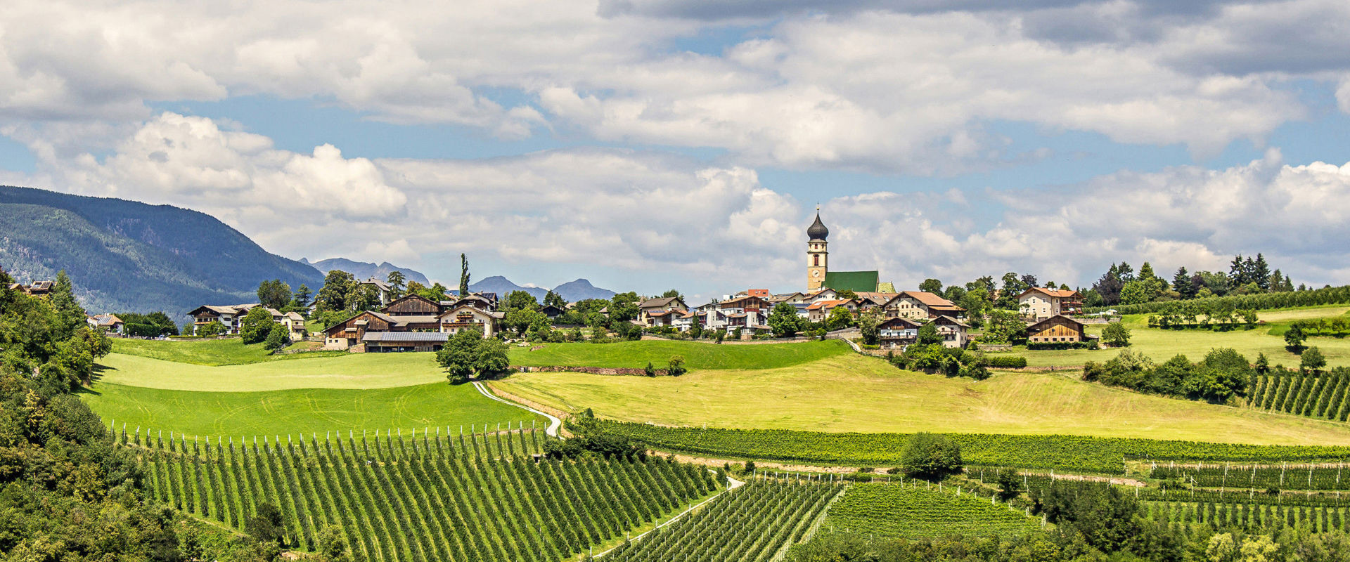 Völs am Schlern umgeben von Weinbergen und Almenwiesen.