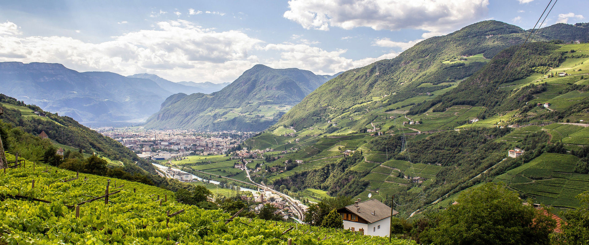Grüne Berghänge, Weinberge und die Stadt Bozen
