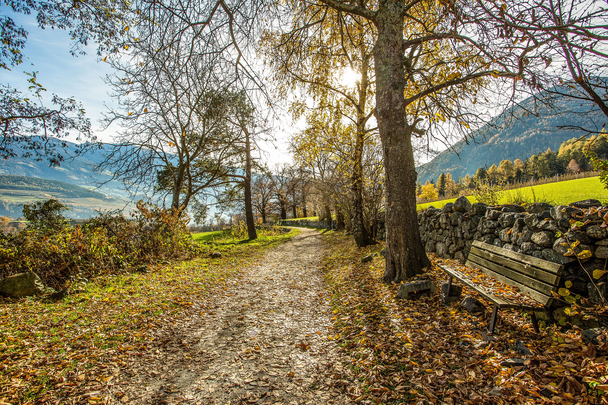 Spazierweg mit Bäumen gesäumt bei Vahrn im Eisacktal