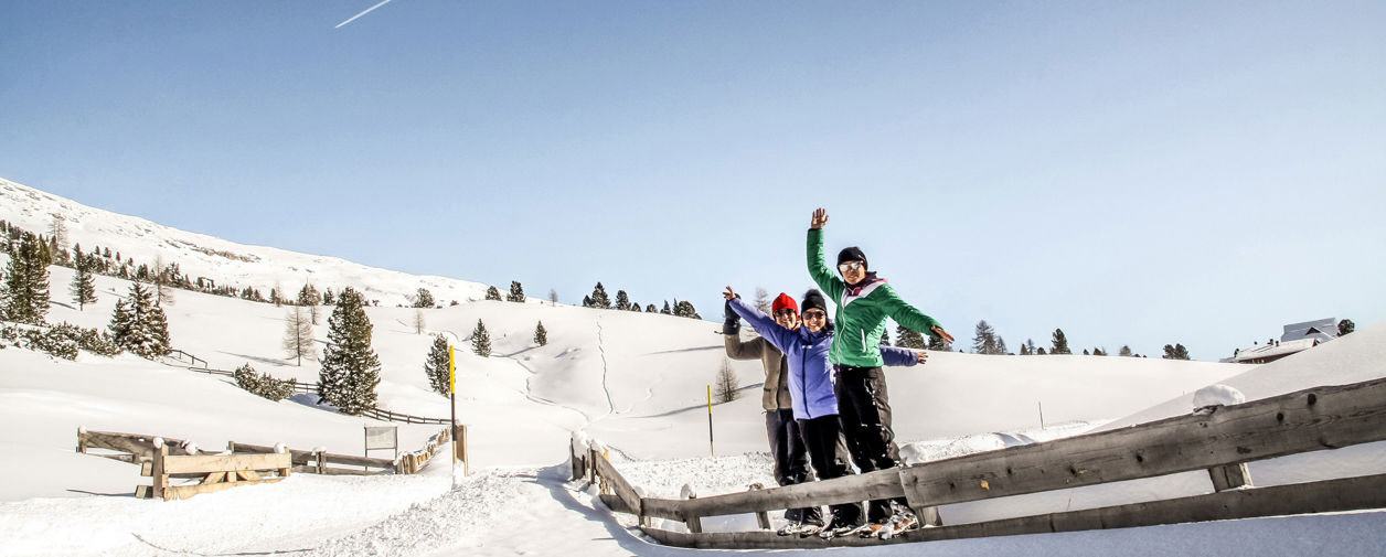 Ferienwohnungen / Residences im Hochpustertal