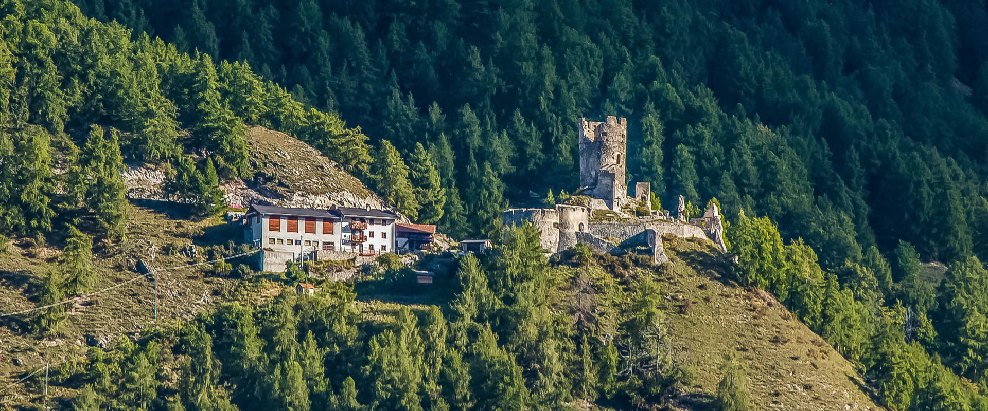Burgruine Rotund & Reichenberg Blick auf die Burgruine inmitten von dichten Wäldern.