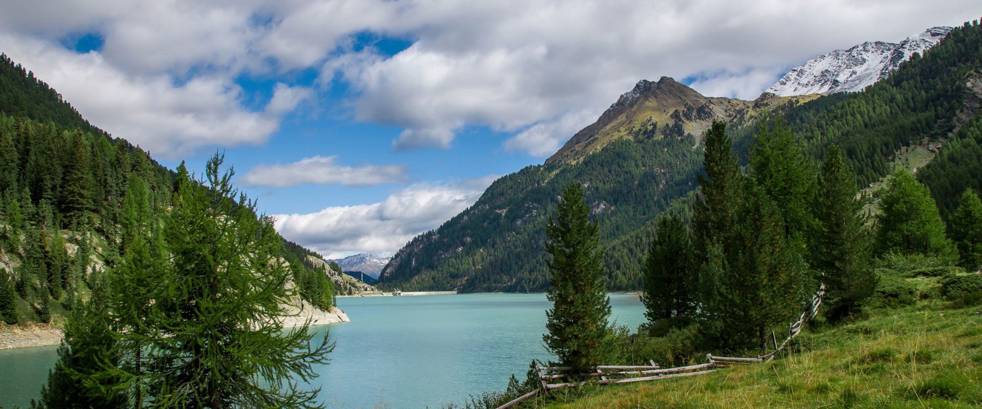 Stausee, umgeben von satten Wiesen und dichten Wäldern.