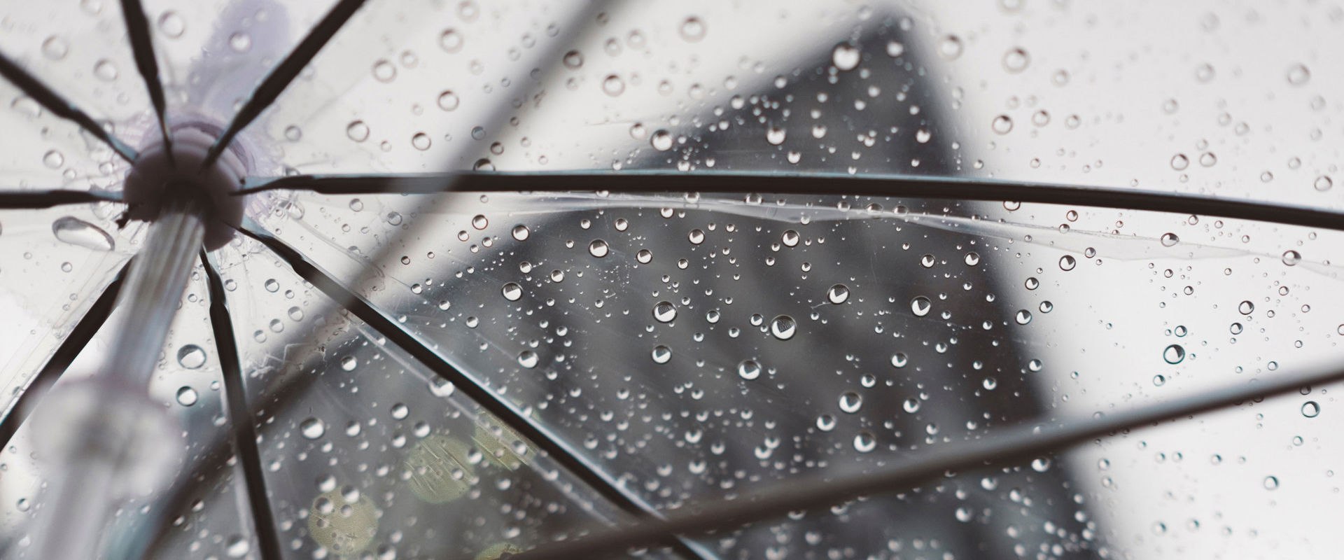 Regentage Nahaufnahme eines Regenschirms von unten.