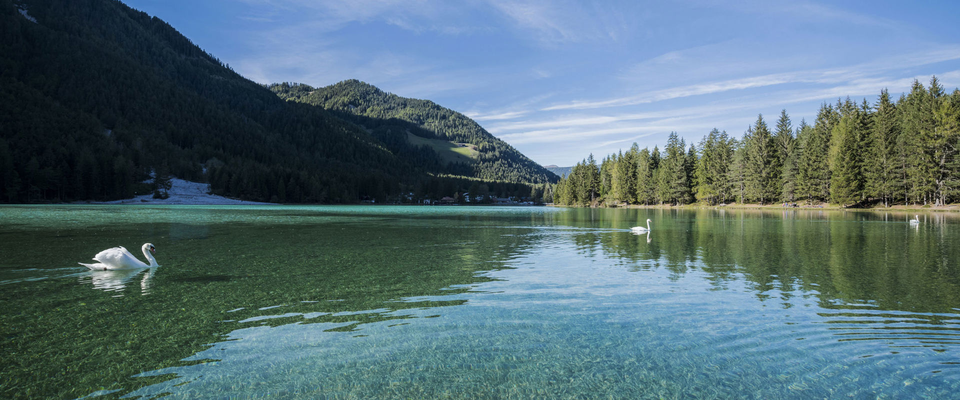 Klarer See mit weißen Schwänen, Wäldern und Berge.