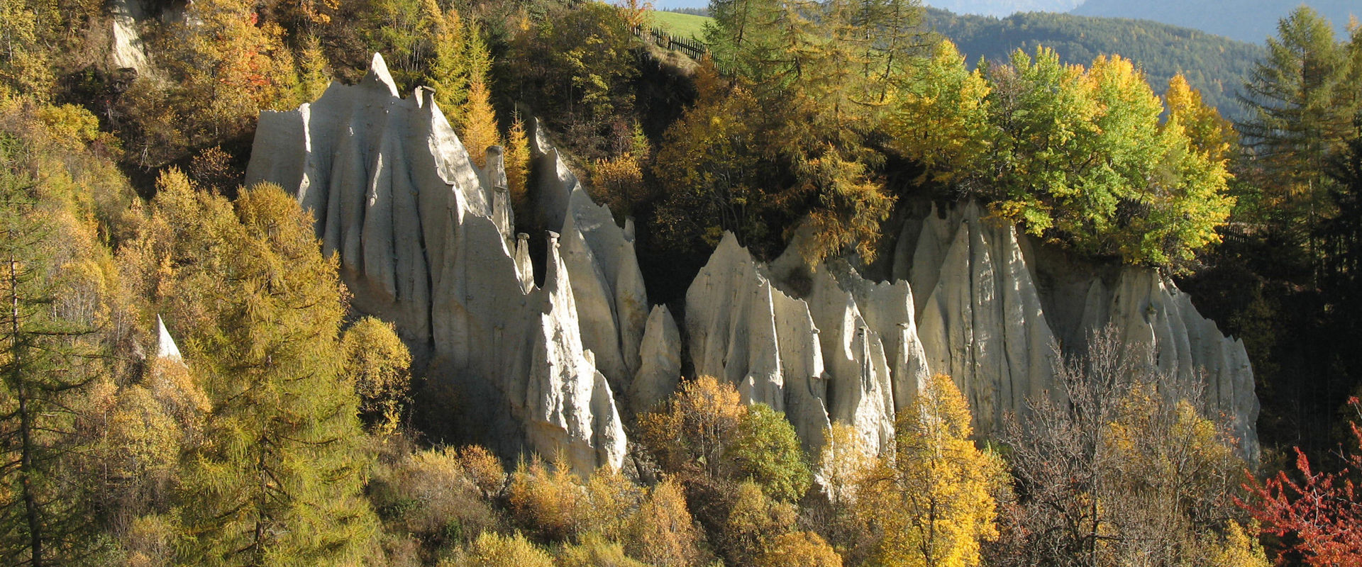 Erdpyramiden Terenten Erdpyramiden mitten im Wald.