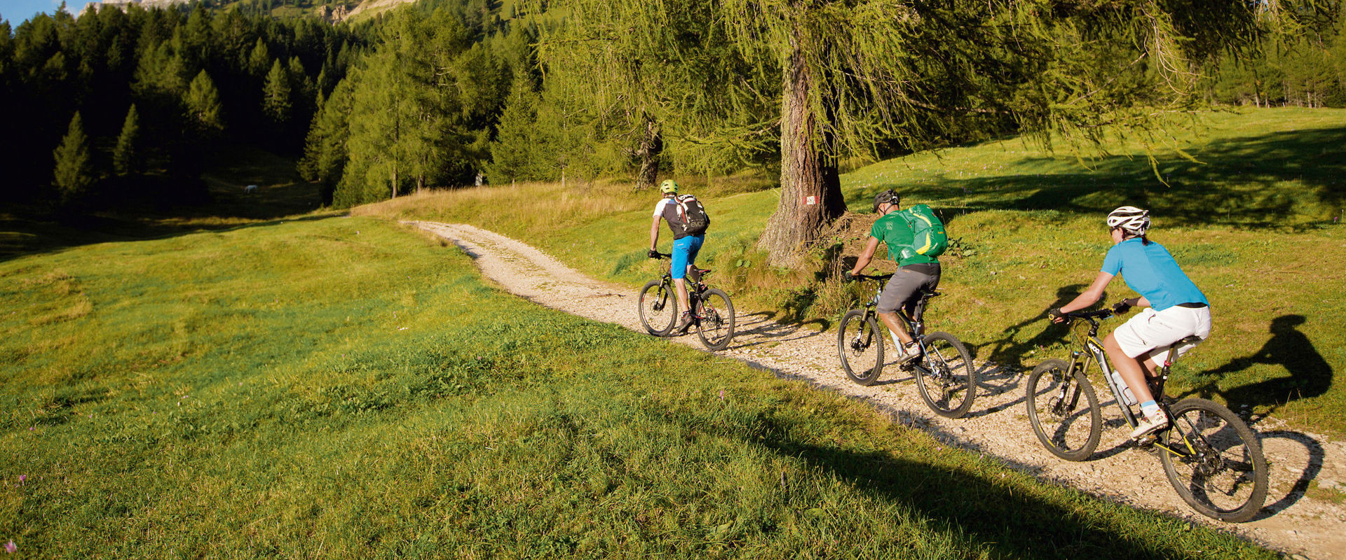 Radfahrer sind auf einem kleinen Pfad am Berg unterwegs. Drei Radfahrer fahren entlang eines kleinen Pfades.