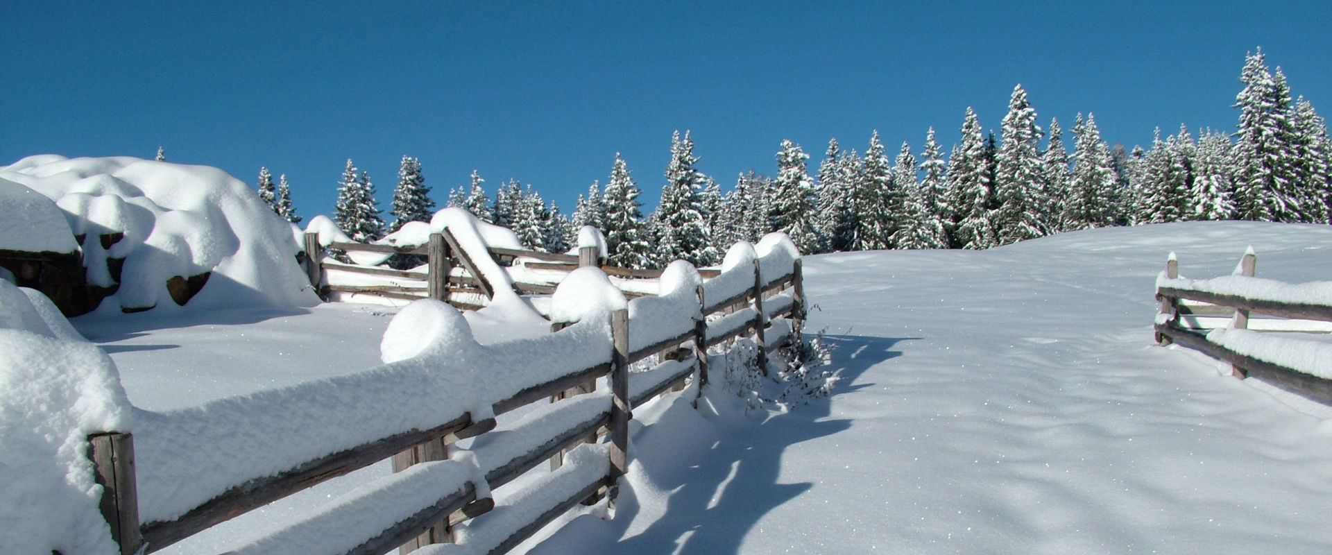 Mölten Schneebedeckter Zaun und Wald bei Mölten