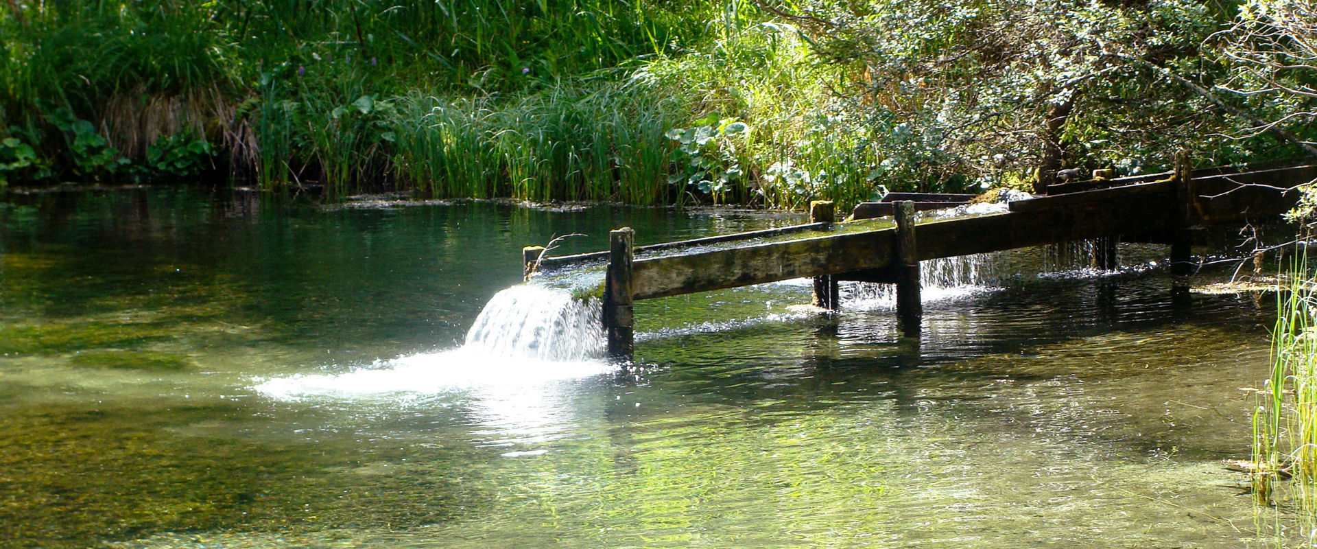 Frisches Wasser fließt über eine Holzrinne in den Teich.