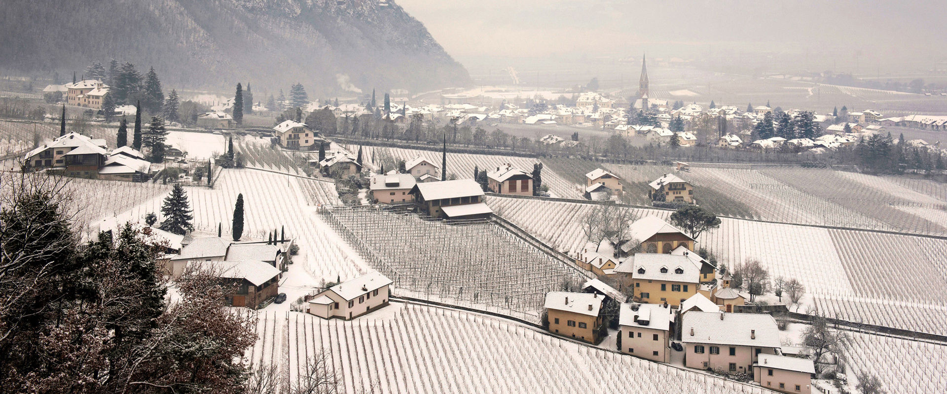 Terlan im Winter Blick auf Terlan im Winter inmitten von kahlen Weinreben und Obstbäumen.