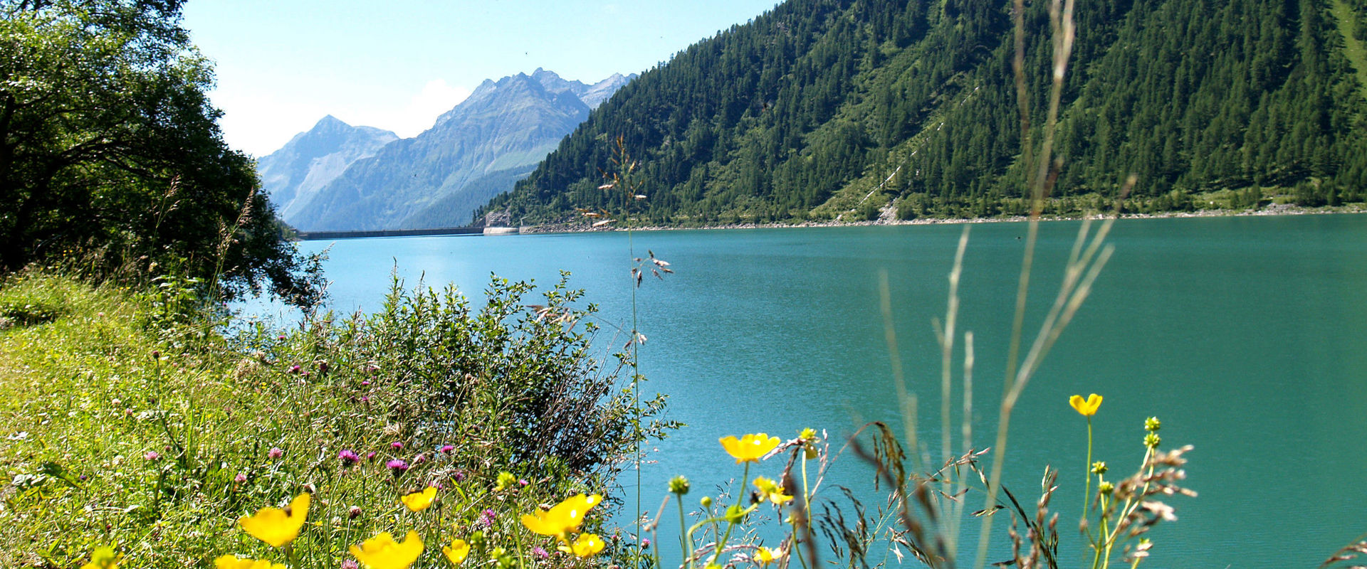 Neves Stausee Blick auf den Neves Stausee, auf blühende Wiesen und hohe Berge.