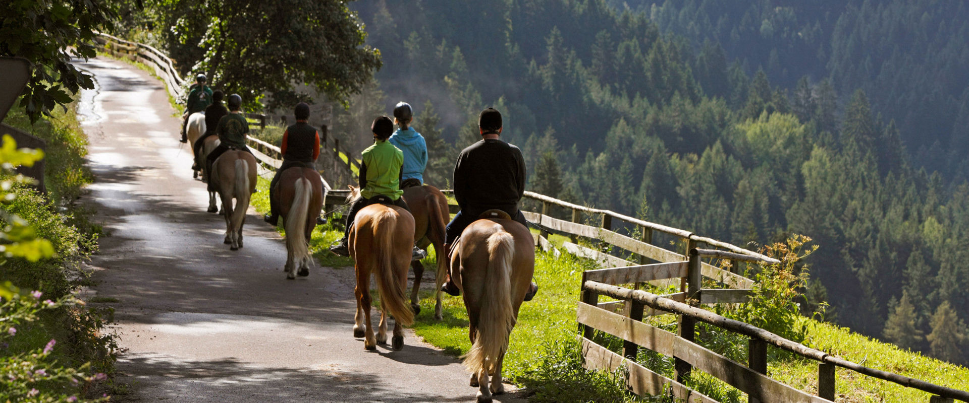 Reiten in Meran Reiten auf einem ruhigen Weg durch die Wälder von Meran.