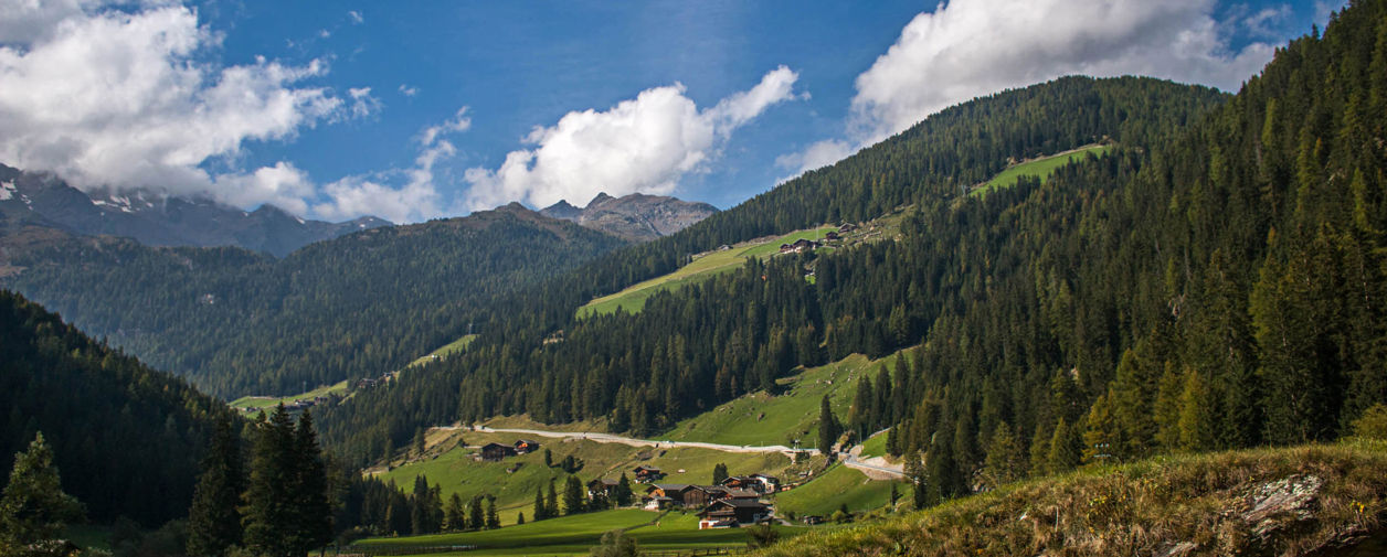 in St. Gertraud