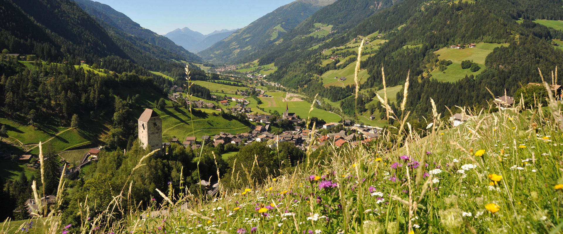 Berglandschaft Berglandschaft mit bunten Blumenwiesen und grünen Wäldern.