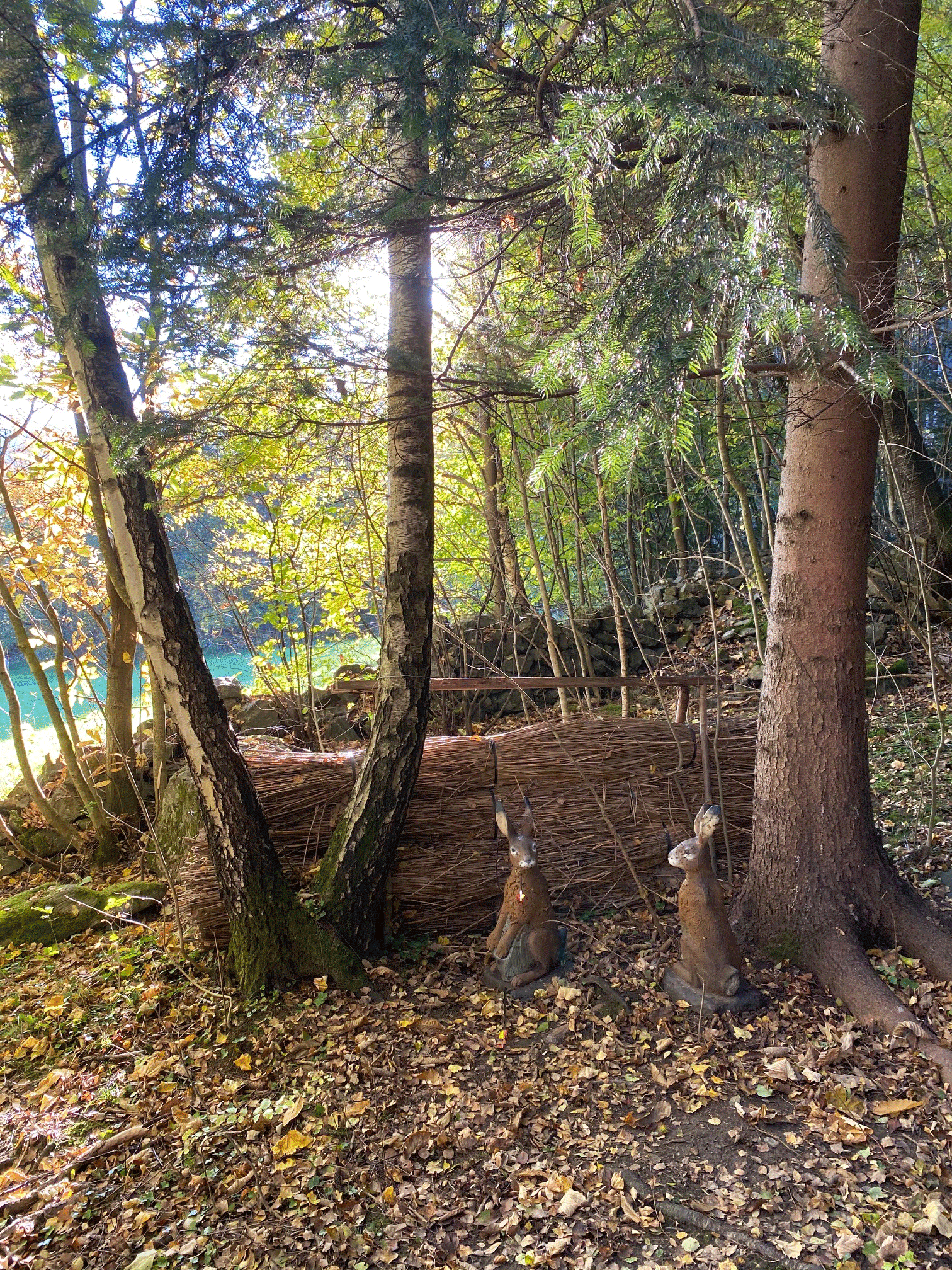 3D-Kaninchen entlang des Bogenschießplatzes am Vahrner See.