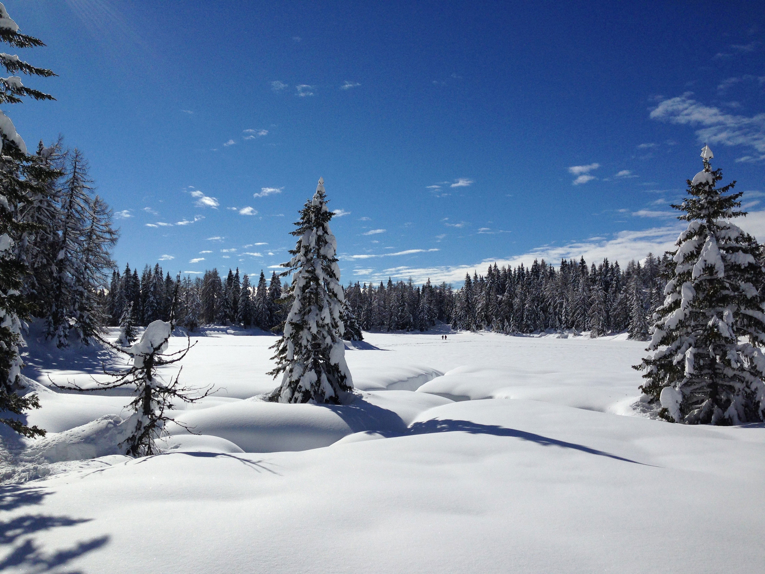 Wald- und Schneelandschaft in Laurein