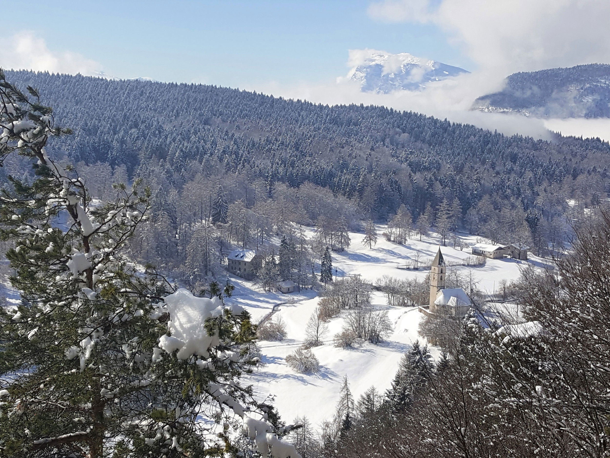 Winterlandschaft auf dem Fennberg über Magreid.