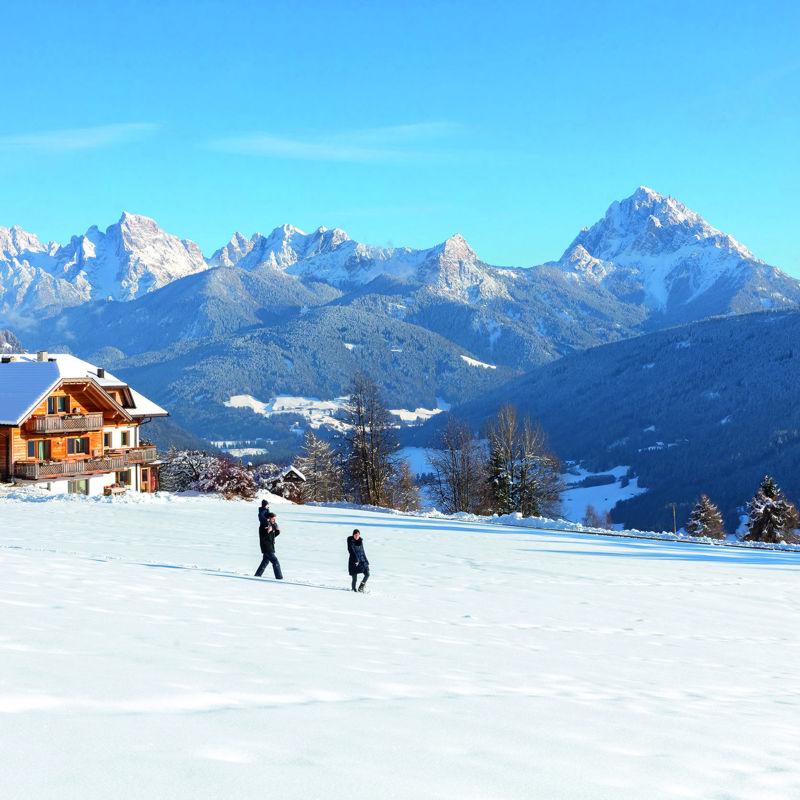 Roter Hahn It
