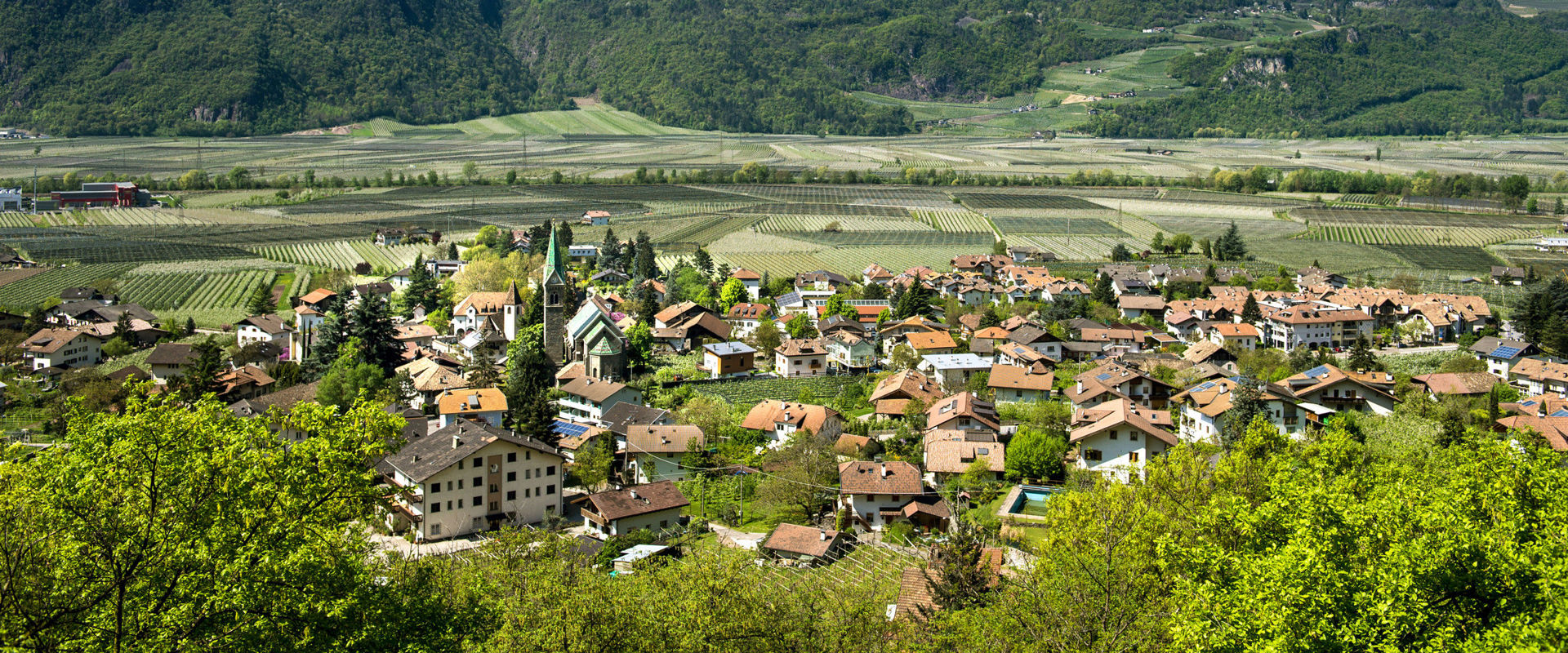 Gargazon Blick auf Gargazon mit umliegender Naturlandschaft