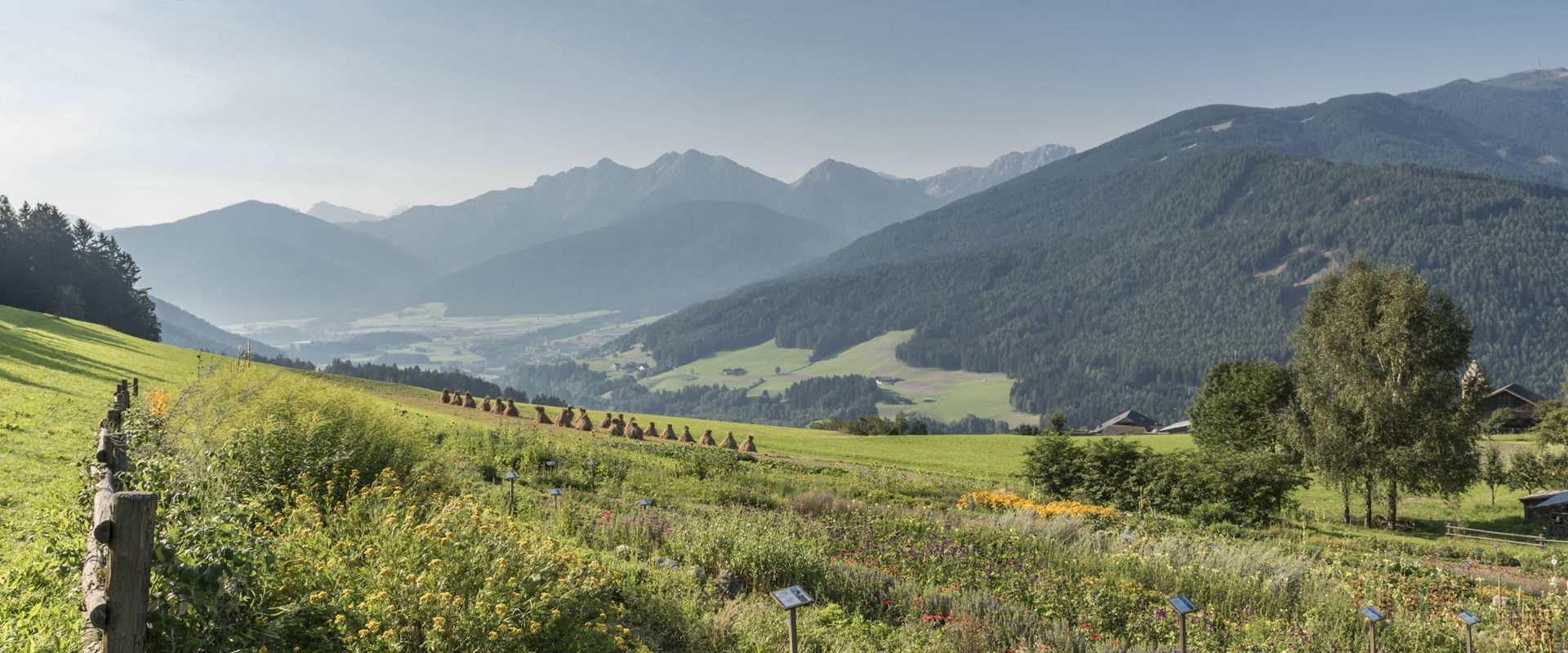 Bunt gemischter Kräutergarten bei Percha mit Blick auf das Pustertal