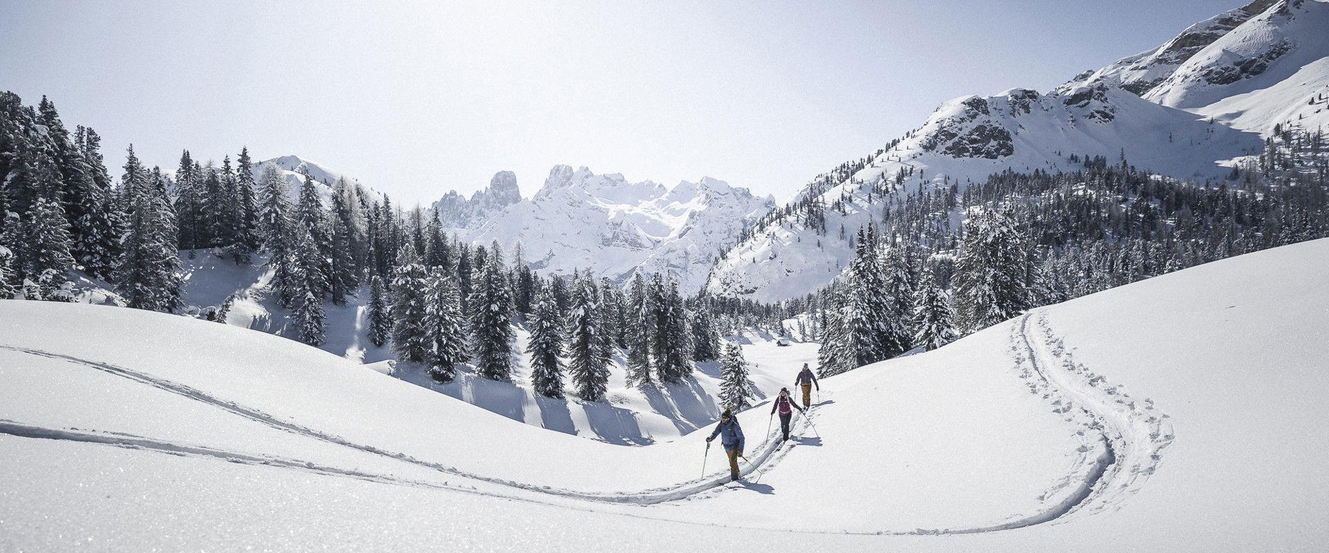 Skitourengeher Schneebedecktes Berggelände mit 3 Skitourengeher.