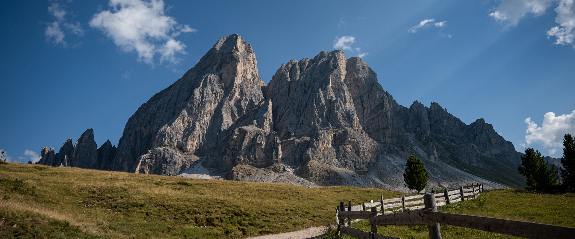 Markantes Bergmassiv erhebt sich hinter Almwiese mit einzelnen Bäumen und Holzzaun