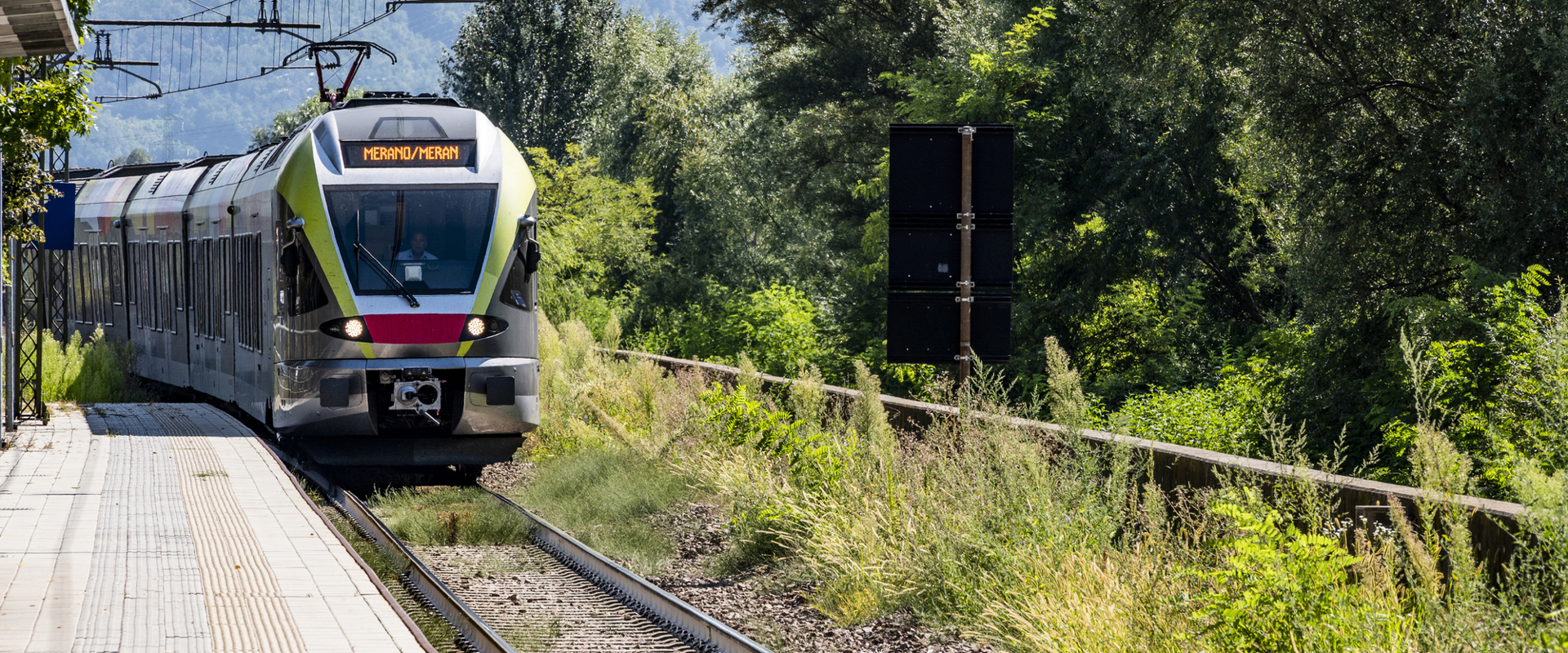 Zug bei der Einfahrt an Bahnsteig, gesäumt von Sträuchern und Bäumen