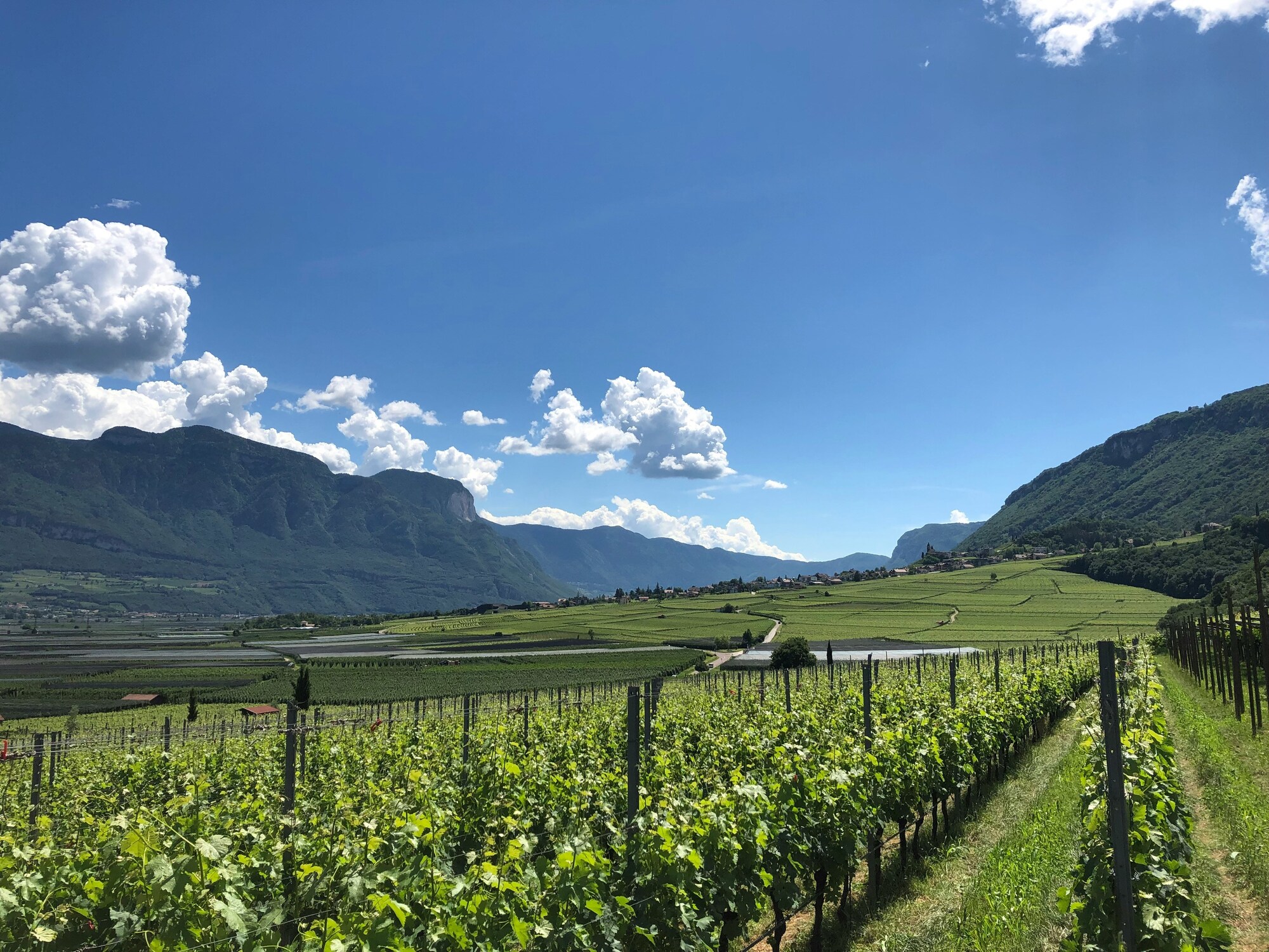 Blick auf das Südtiroler Unterland