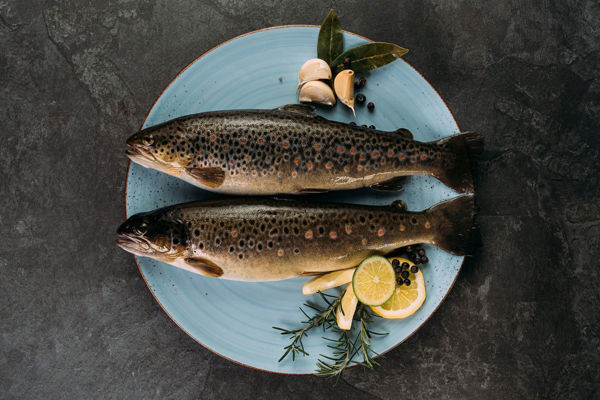 Fischspezialitäten aus dem Passeiertal