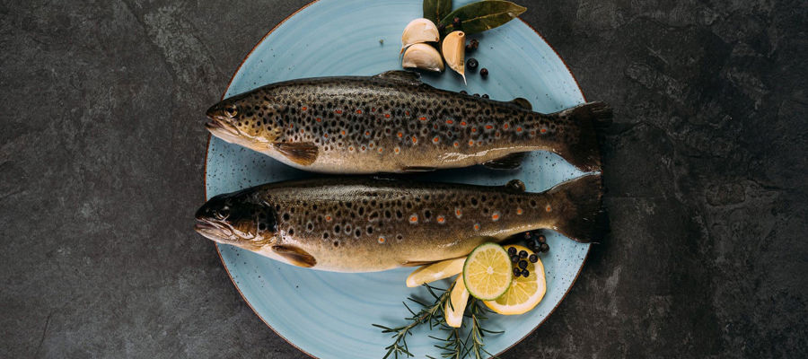 Fischspezialitäten aus dem Passeiertal