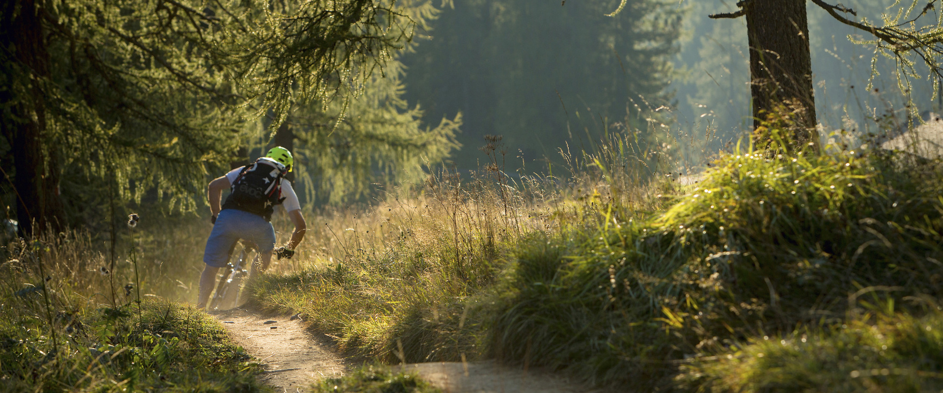 Freerider auf dem Carezza Trail