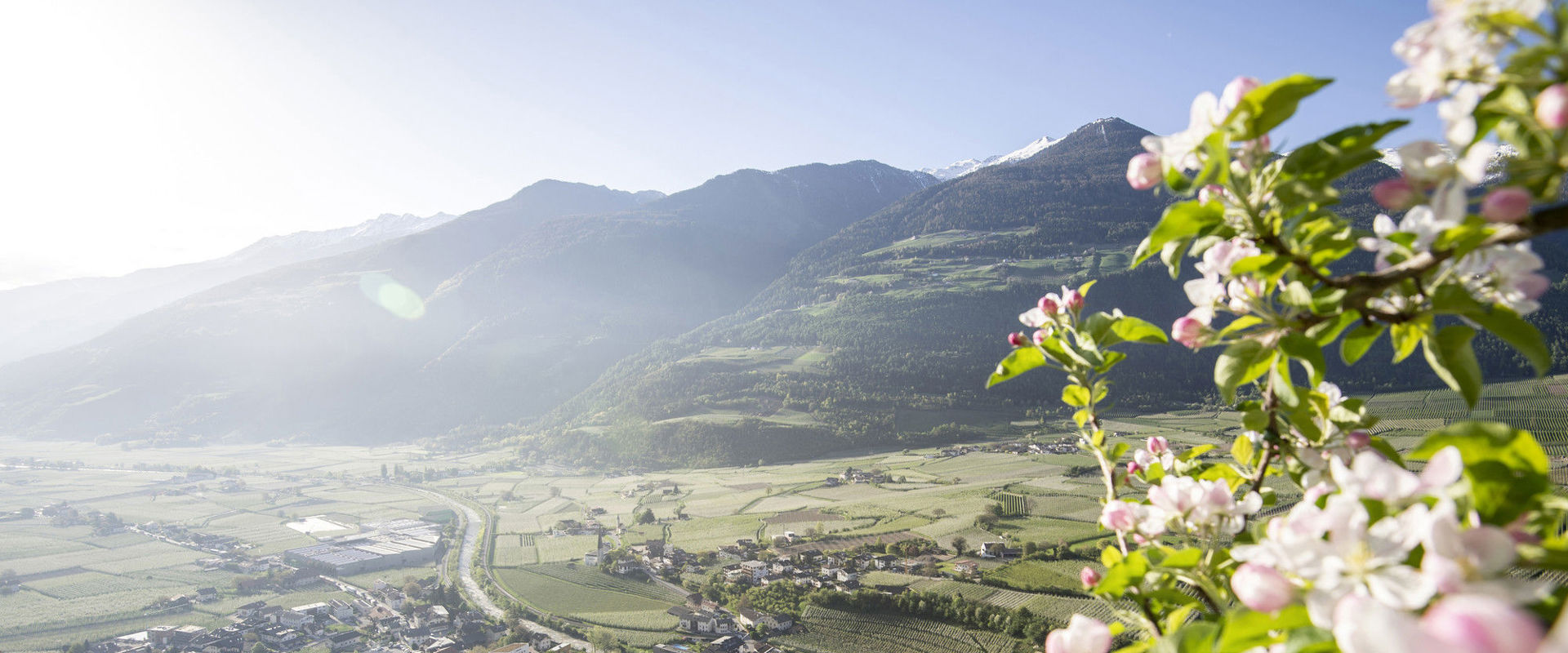 Apfelblüte Blühende Apfelwiesen, kleine Dörfer und Berge.