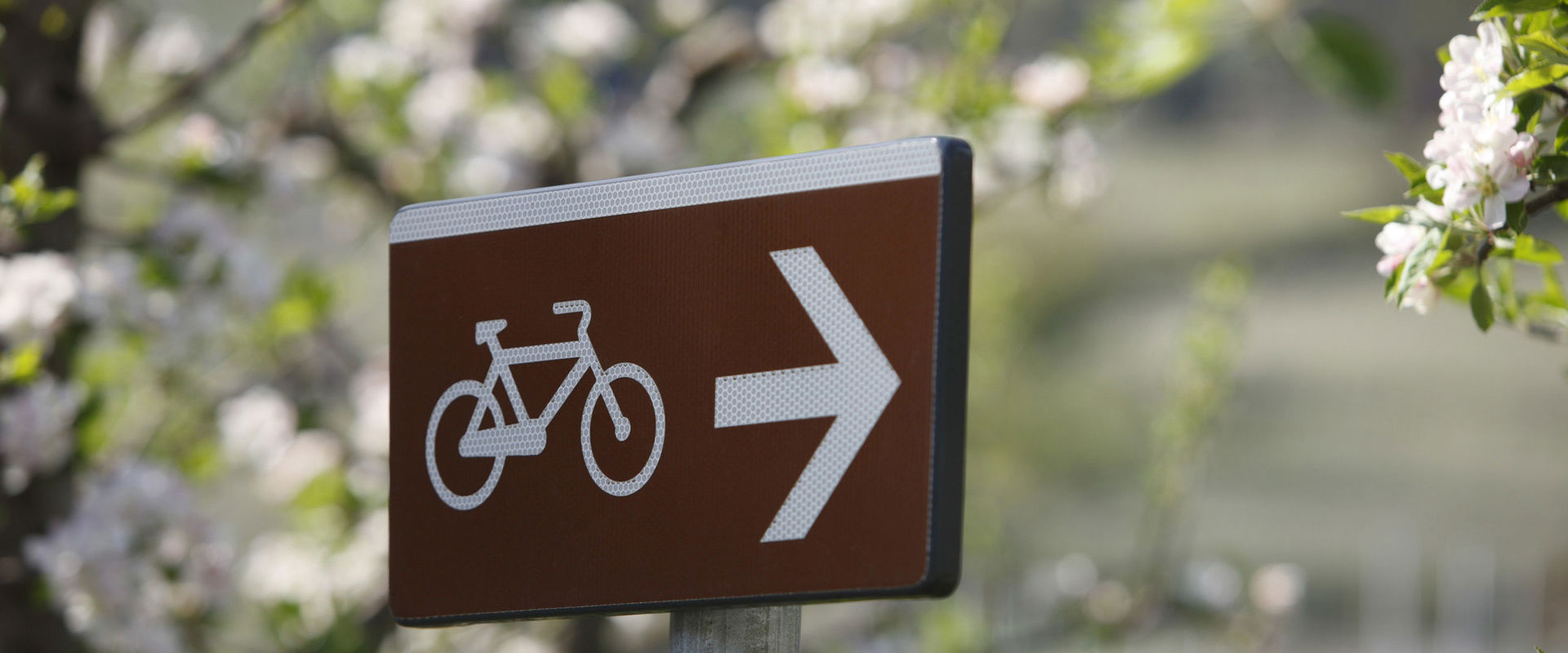 Holzschild mit Fahrradsymbol.