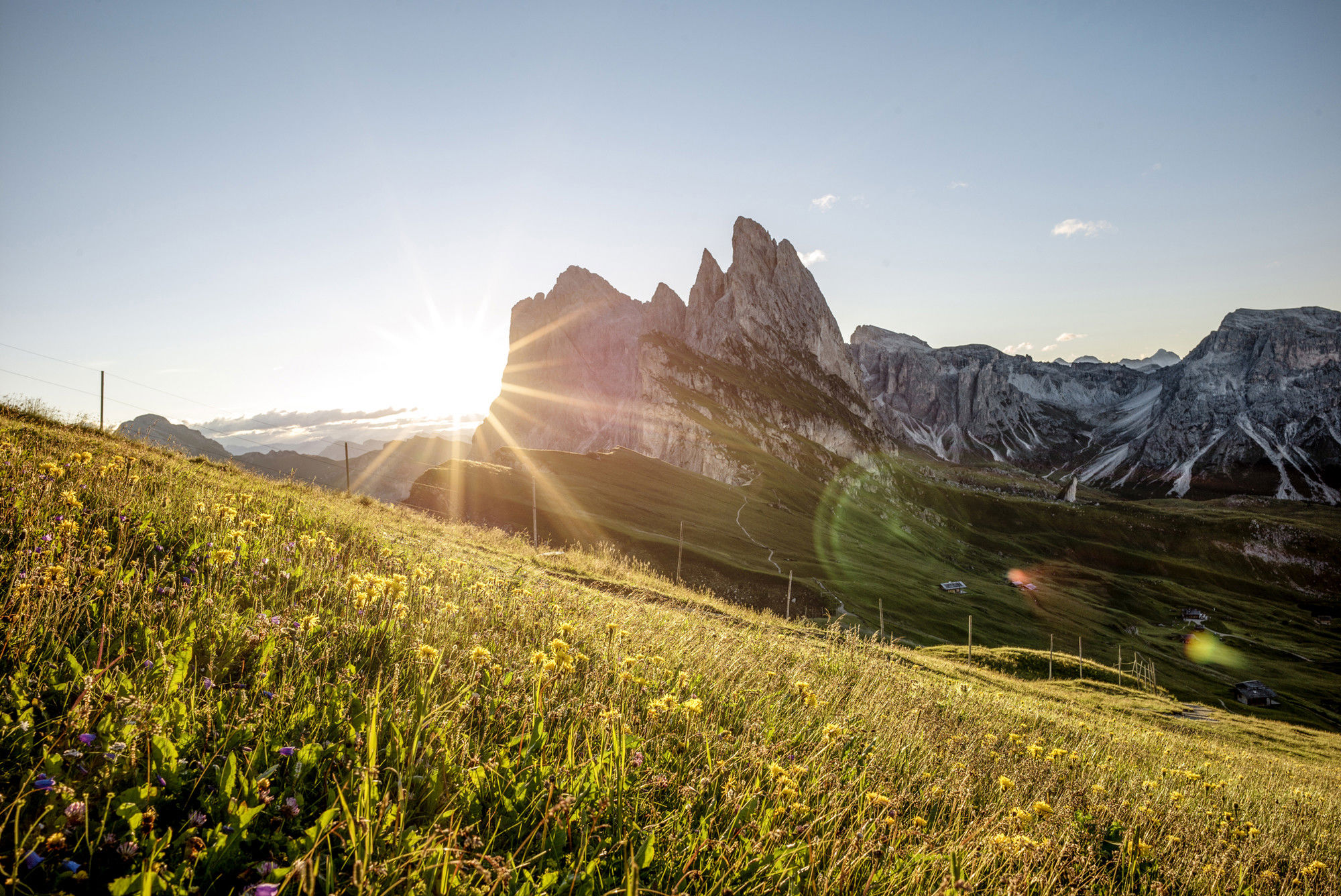 Seceda und grüne Wiese bei Sonnenaufgang