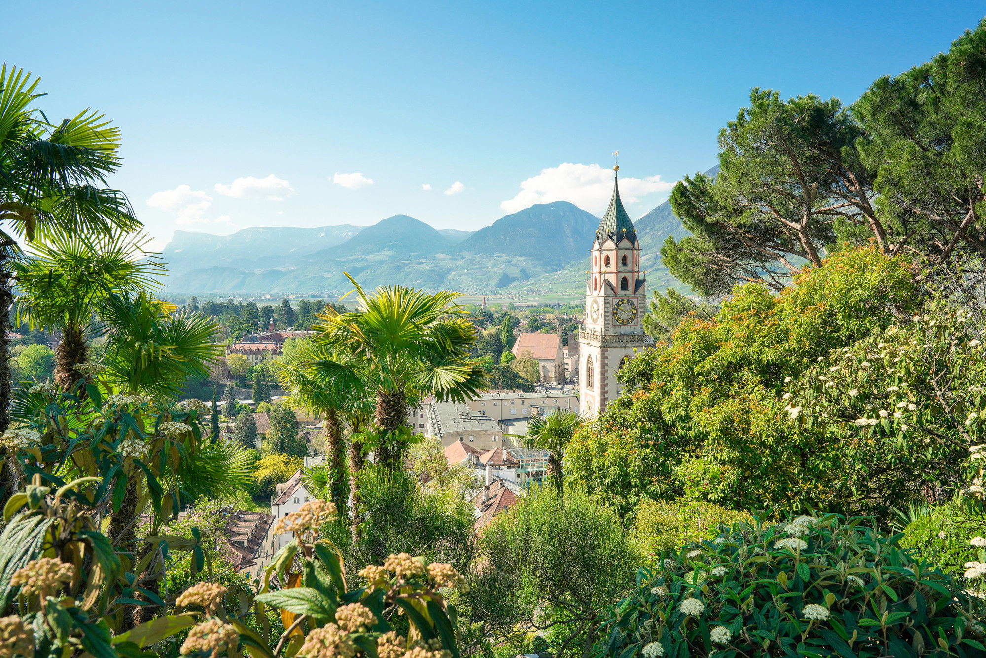 Blick auf den Meraner Dom und typischer mediteraner Vegetation.