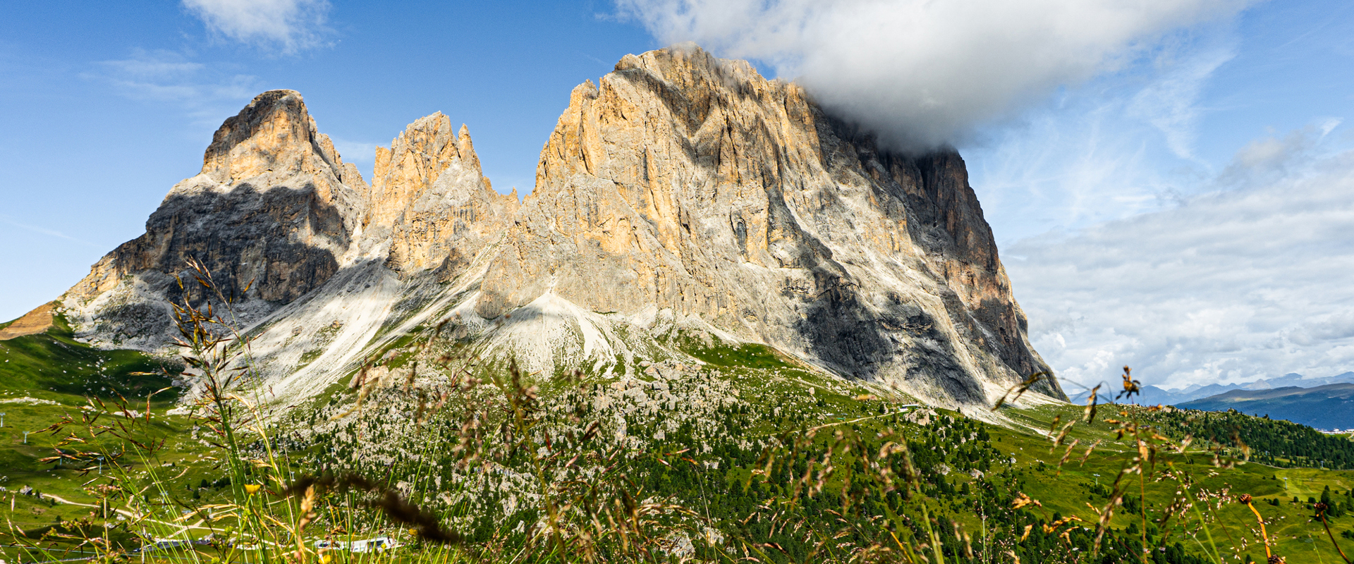 Langkofel mit Bergwiese und Wolken