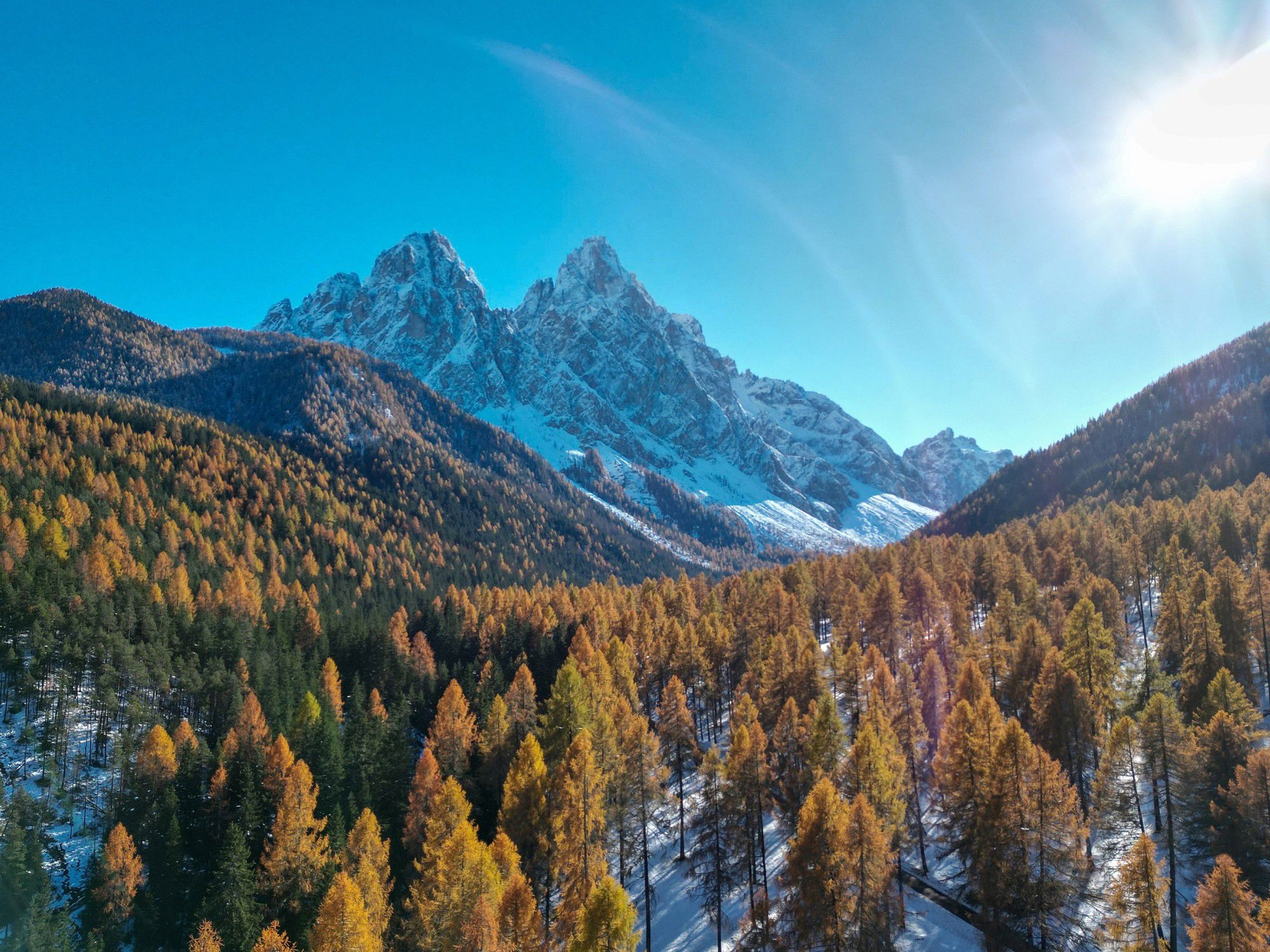 Innerfeldtal mit goldgelb gefärbten Bäumen und schneebedeckten Bergen