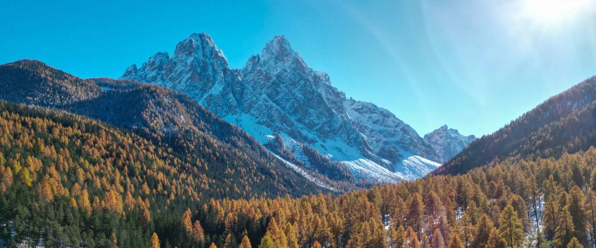 Innerfeldtal Innerfeldtal mit goldgelb gefärbten Bäumen und schneebedeckten Bergen