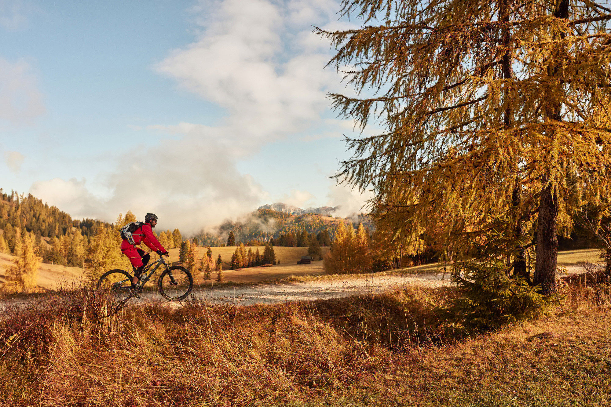 Radfahrer fährt auf einem flachen Pfad vor einer gelb gefärbten Herbstlandschaft.