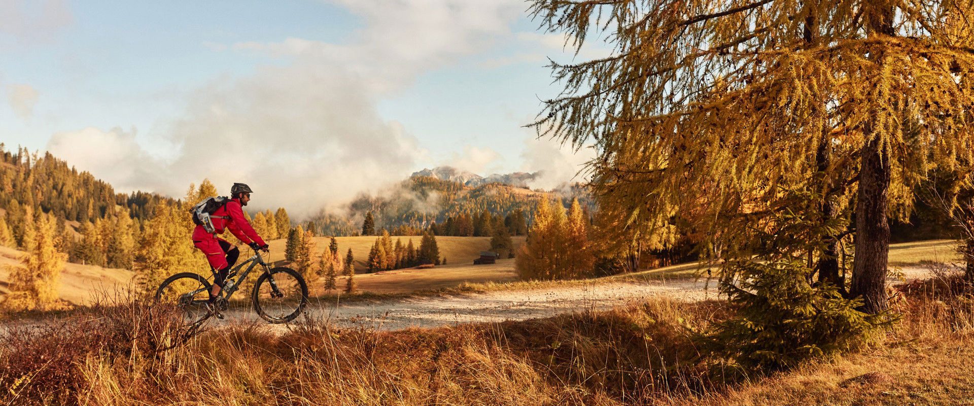 Biken in einer gelb gefärbten Herbstlandschaft. Radfahrer fährt auf einem flachen Pfad vor einer gelb gefärbten Herbstlandschaft.