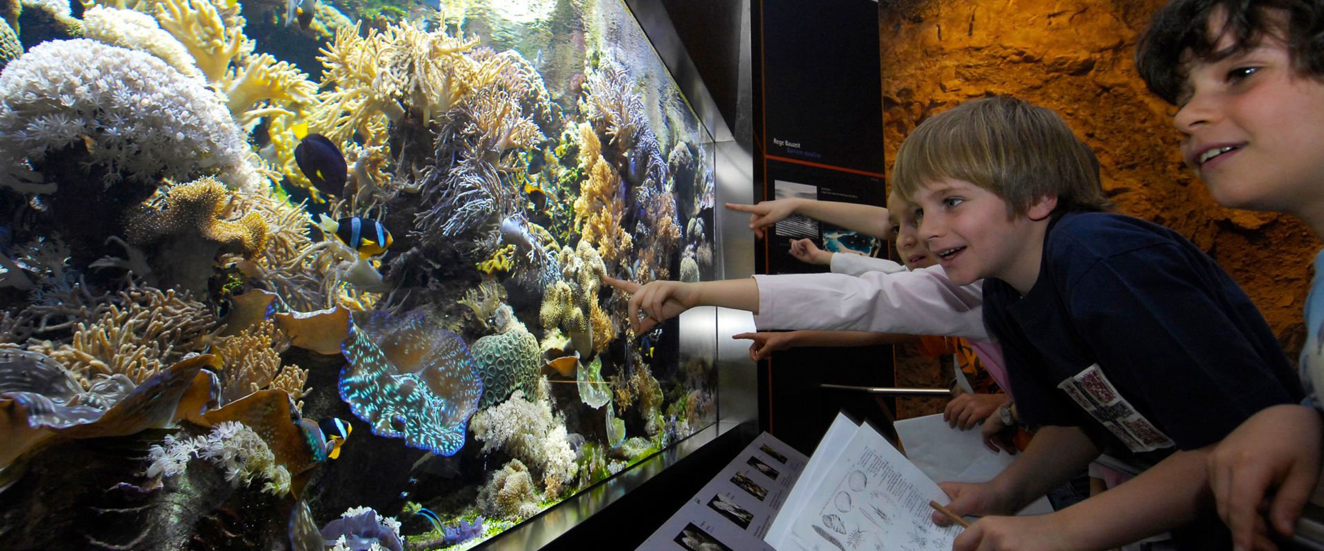 Kinder bestaunen das bunte Aquarium im Naturmuseum.
