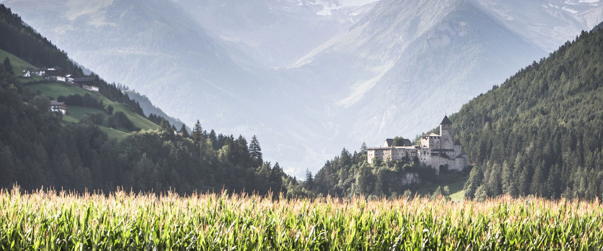 Burg Taufers im Tauferer-Ahrntal  Blick über das Feld auf die Burg Taufers im Tauferer-Ahrntal.
